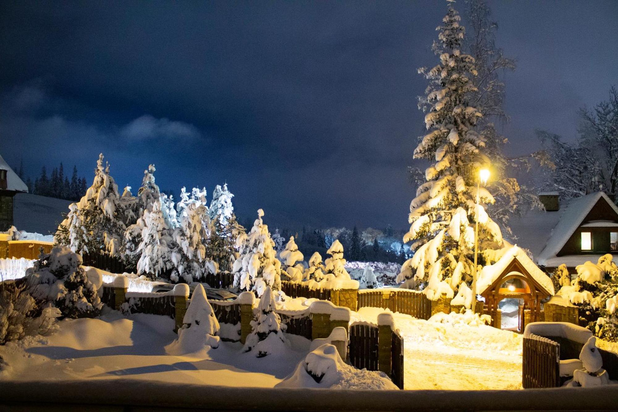 Domki Wisienka Zakopane Exterior foto